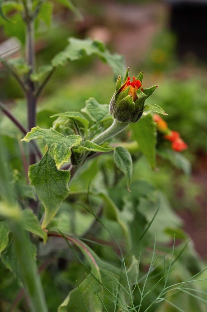 Photograph by Ирина Зиннурова