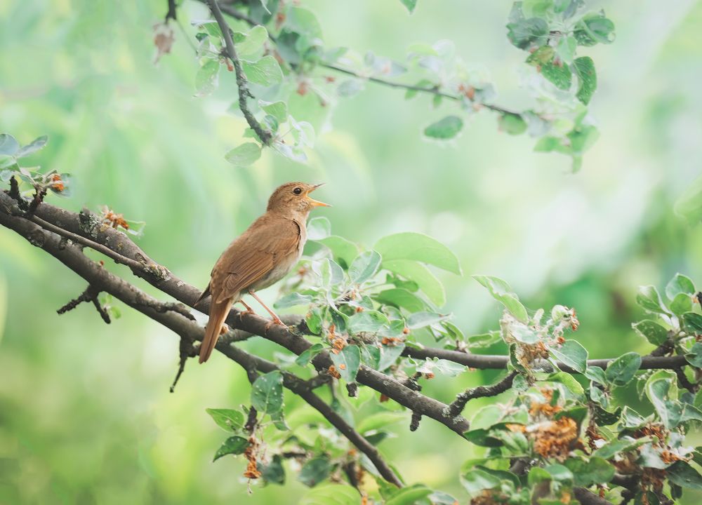 Photograph by Маргарита Смоленская