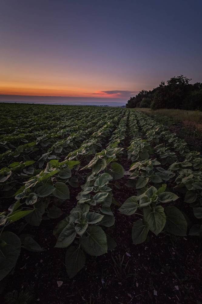 Photograph by Филипп Бабенко