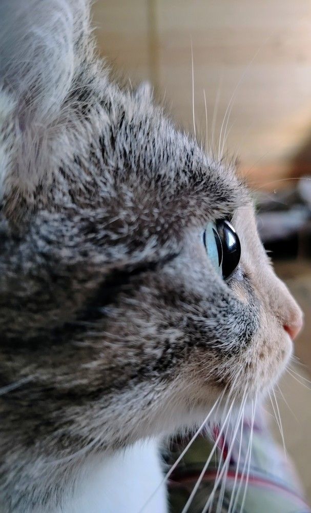 Photograph by Зульфия Набиуллина