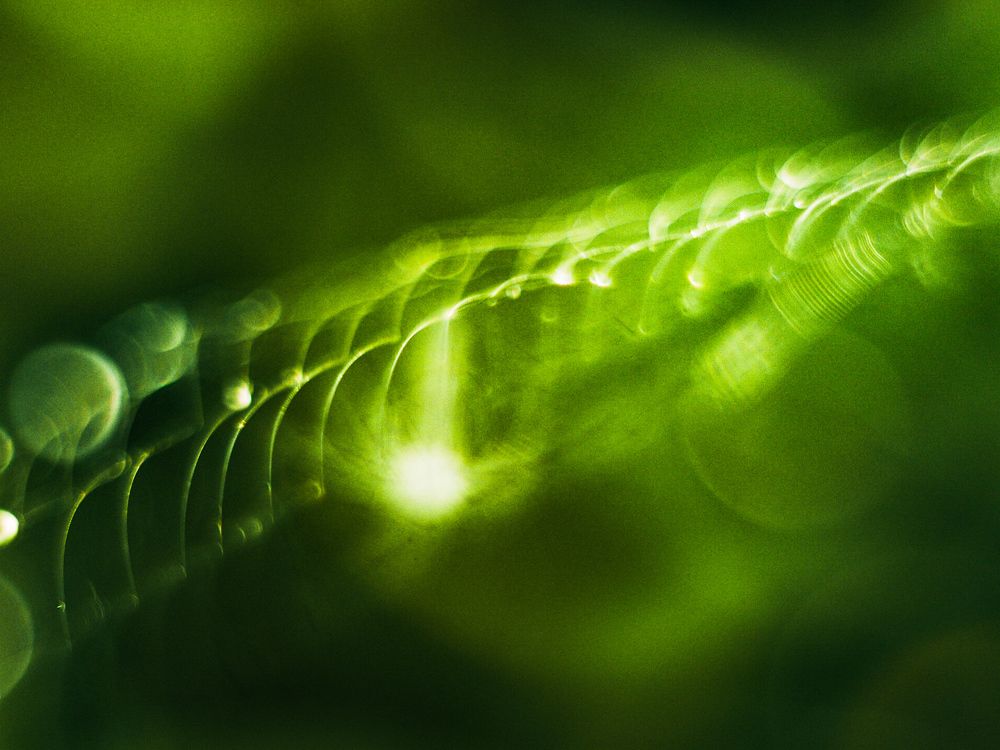 Photograph by Маргарита Смоленская