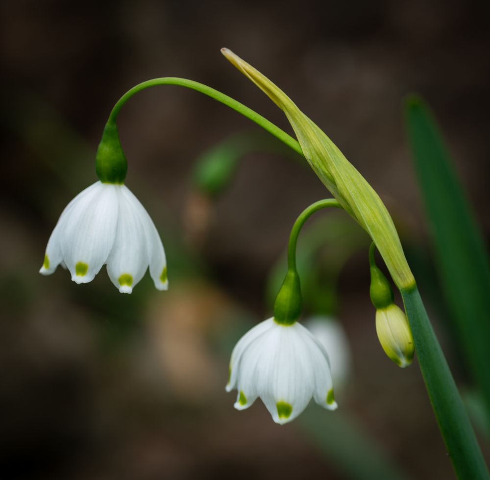 Photograph by Agita Leimane