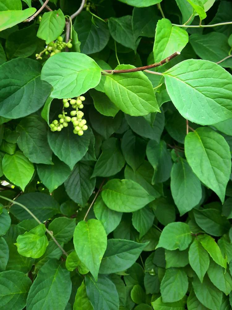 Photograph by Любовь Войтишина