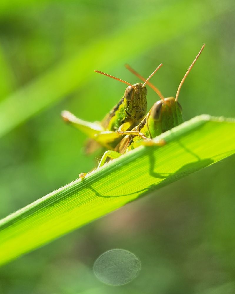 Photograph by Любовь Войтишина