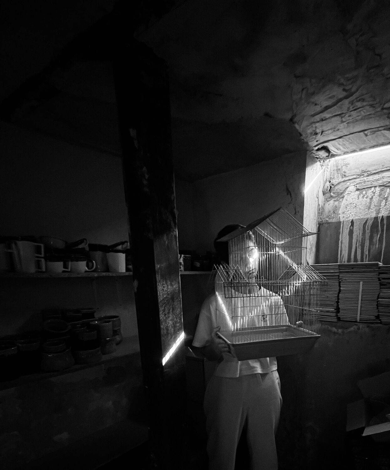 Photo #11401229