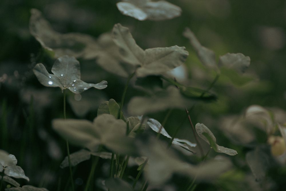 Photograph by Роман Акулов