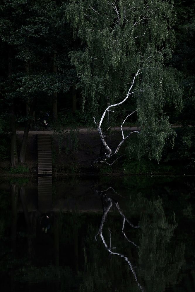 Photograph by Роман Акулов