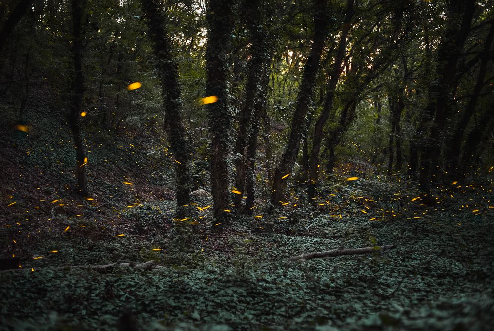 Photograph by Филипп Бабенко