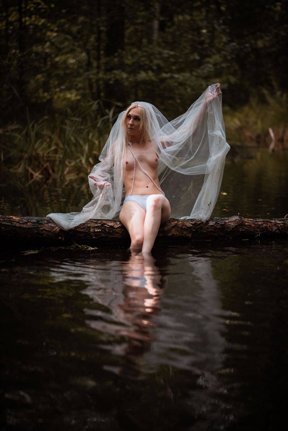 Photo #11401262