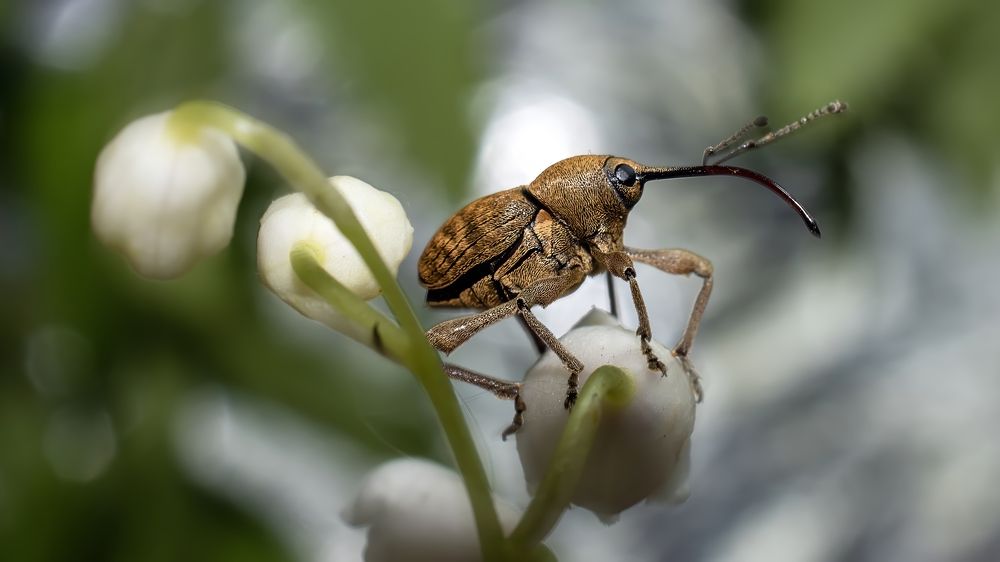 Photograph by Людмила Железнова