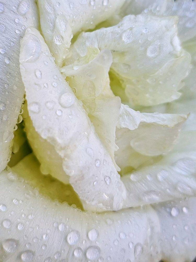 Photograph by Любовь Войтишина