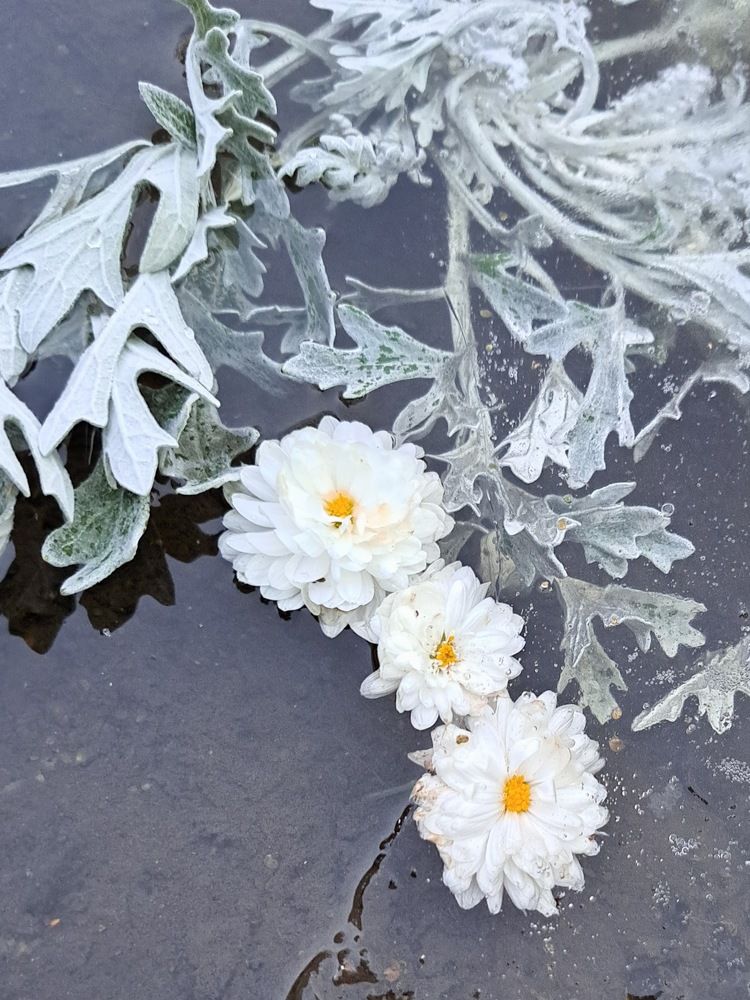 Photograph by Любовь Войтишина