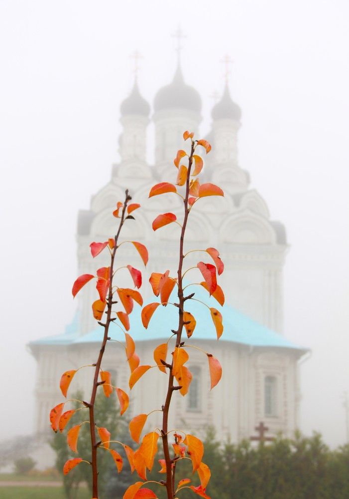 Photograph by 