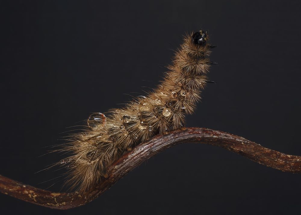 Photograph by Людмила Железнова