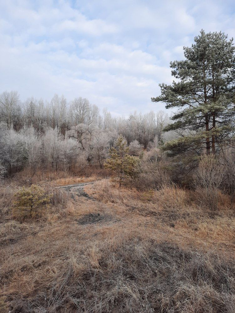 Photograph by Любовь Войтишина