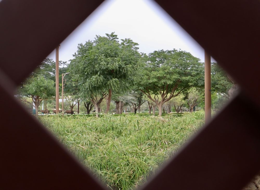 Фотография автора Sarrah Yehia