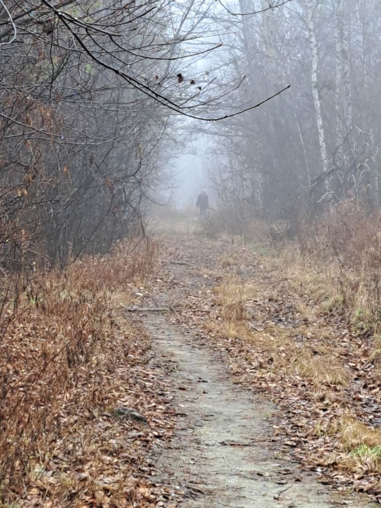 Photograph by Любовь Войтишина