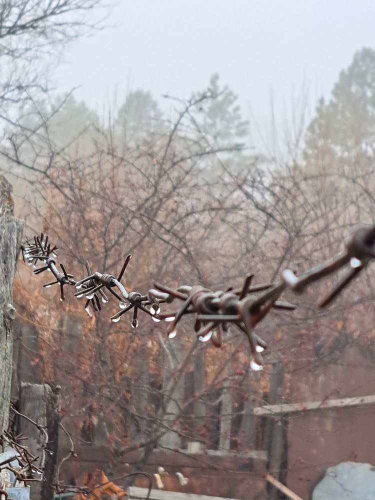 Photograph by Любовь Войтишина