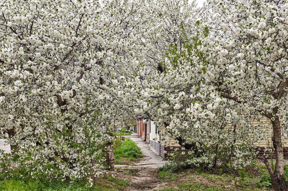 Весна по полной...