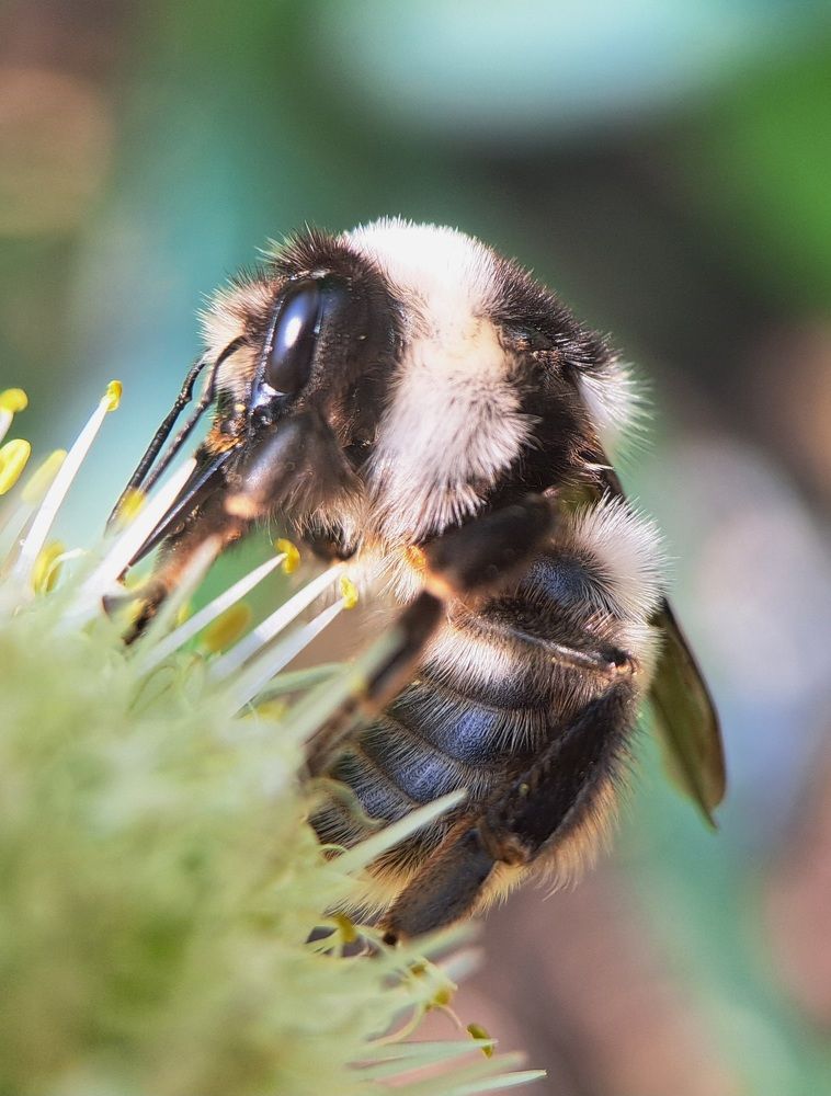 Photograph by Любовь Войтишина