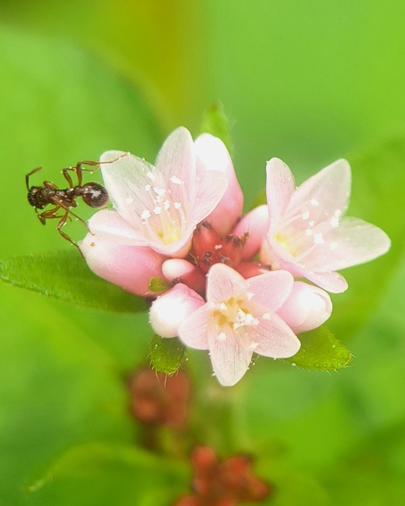 Photograph by Любовь Войтишина
