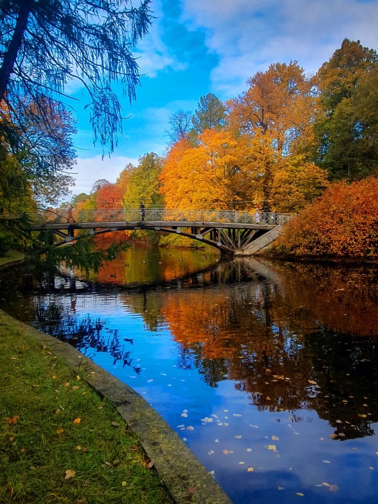 Фотография автора Inna Evseeva