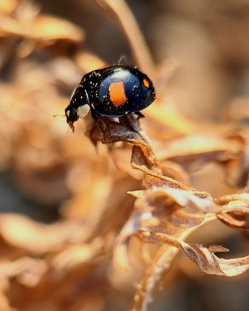 Photograph by Любовь Войтишина