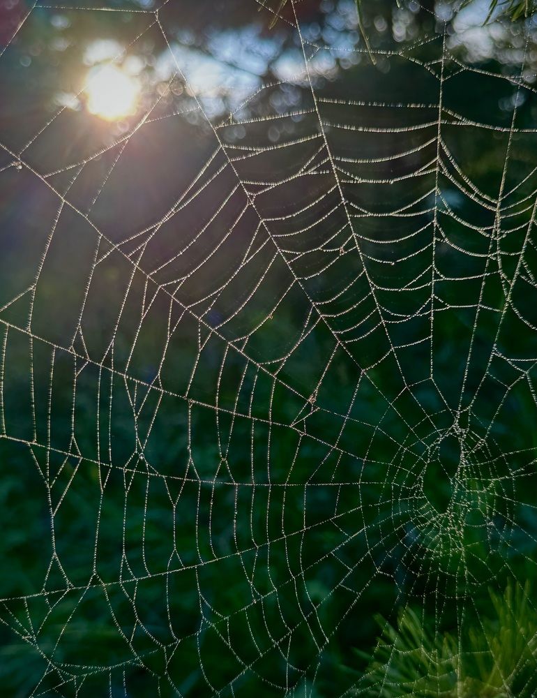 Фотография автора Евгения Елисеева