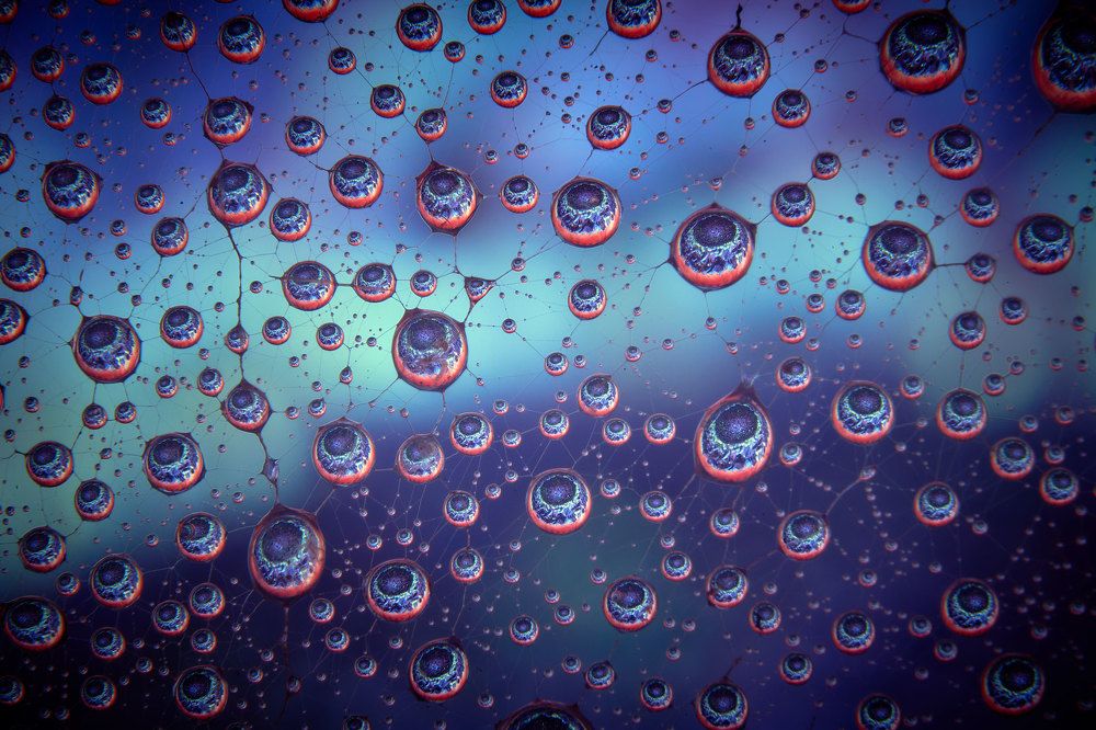 Photograph by Boris Bekelman