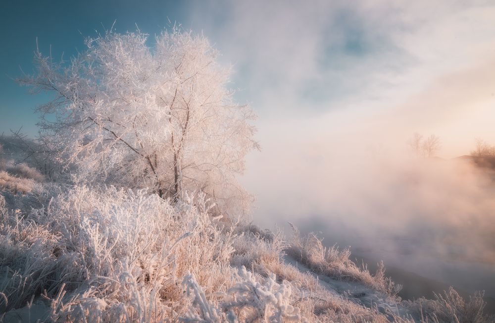 Photograph by Портных Дмитрий