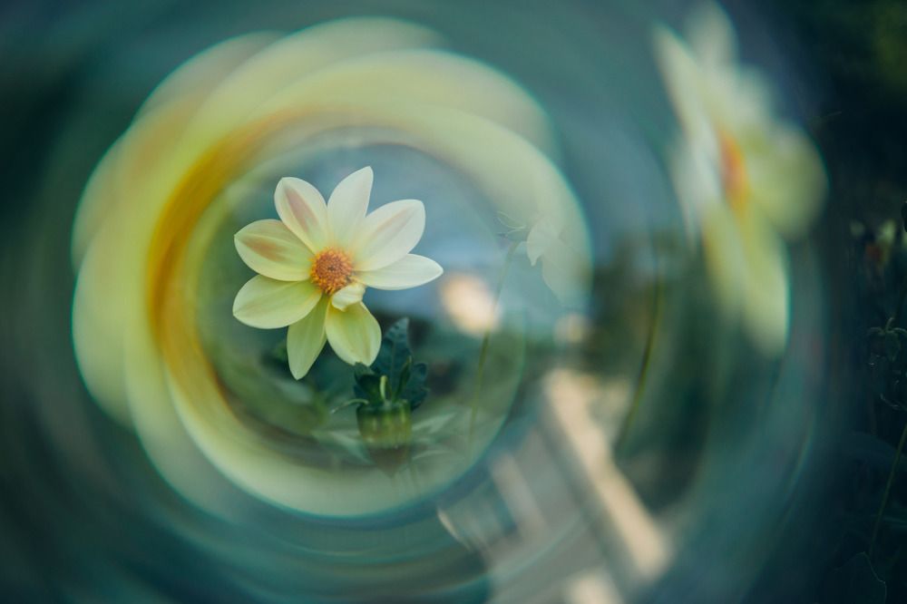 Photograph by Марина Рукавичко