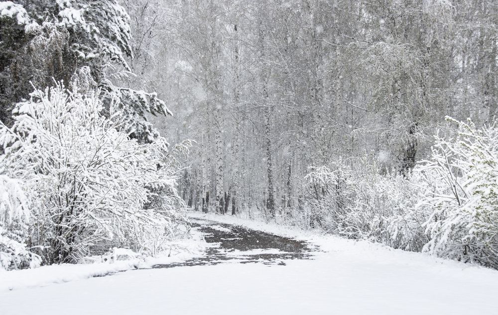 Контрасты весенней погоды