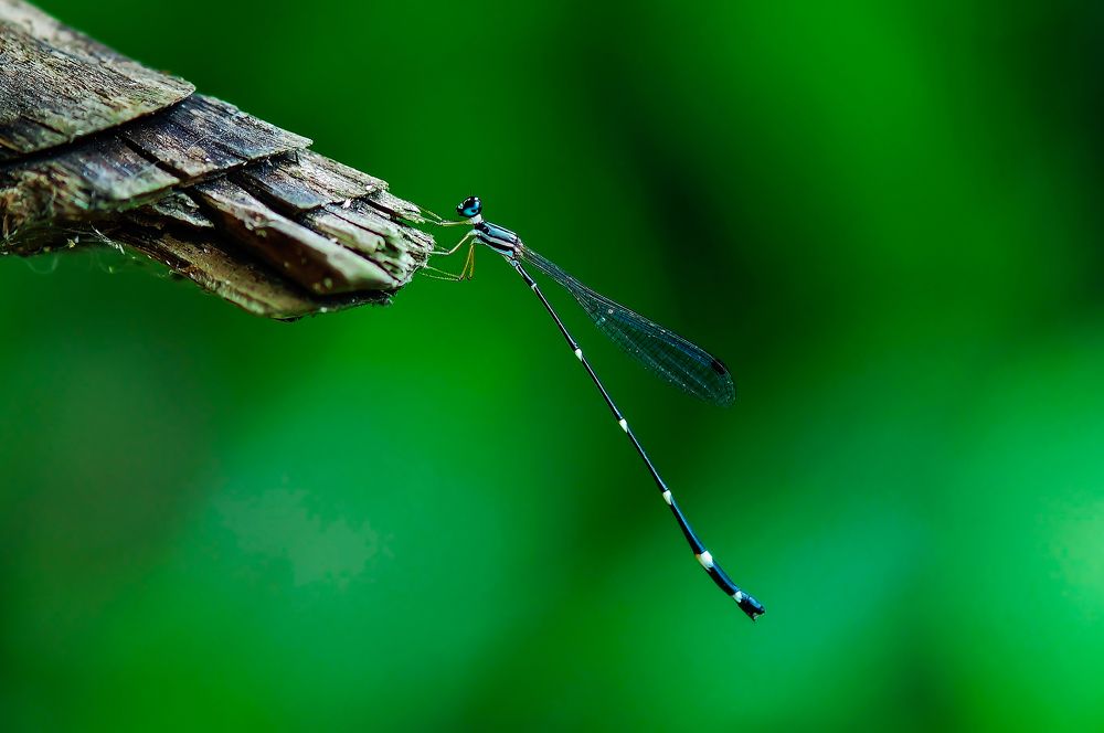 Photograph by shabu joseph