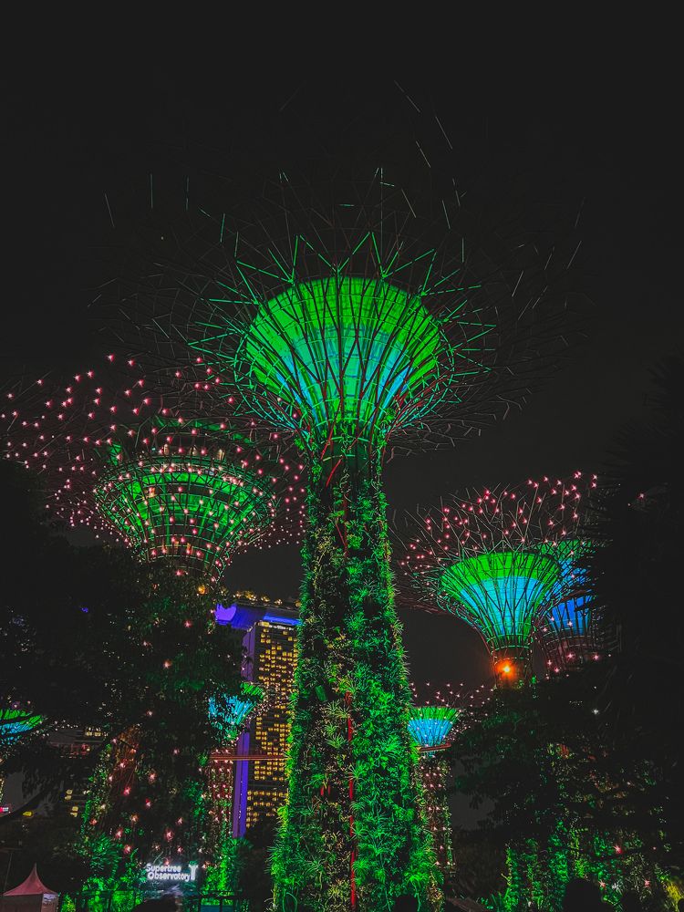 Photograph by Дулова Анастасия