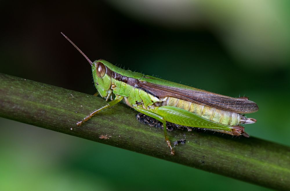 Photograph by shabu joseph