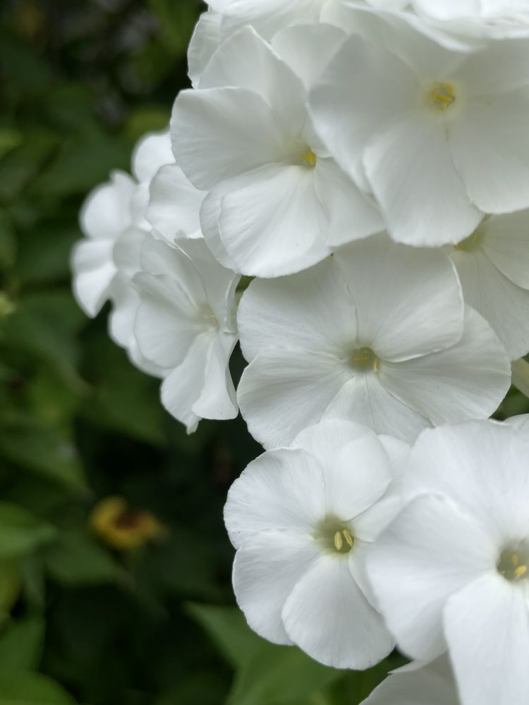 Photograph by Марина Мирошниченко