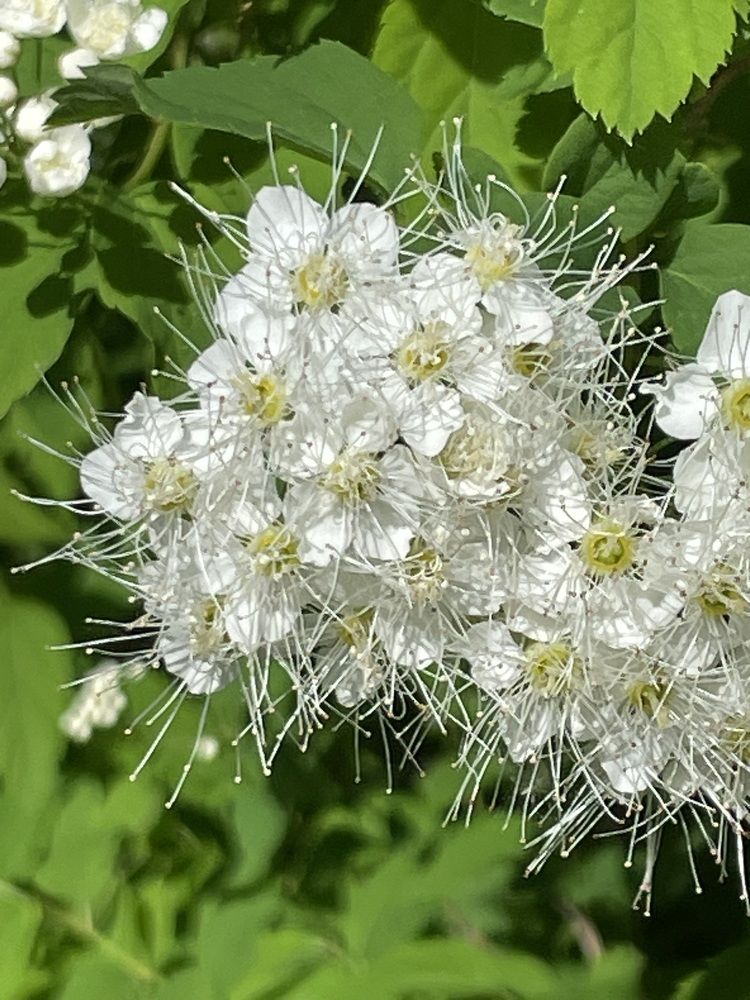 Photograph by Марина Мирошниченко