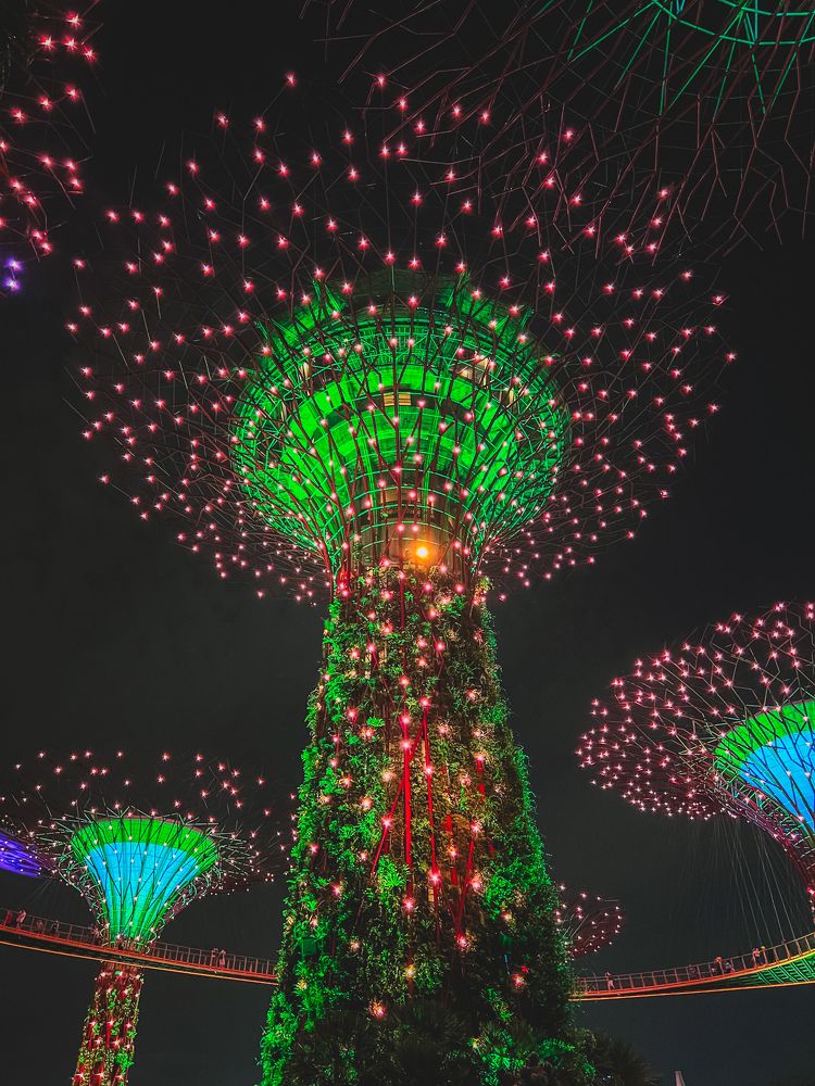 Photograph by Дулова Анастасия