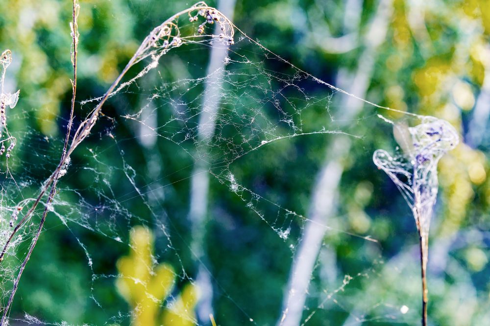 Photograph by Иван Логвинов