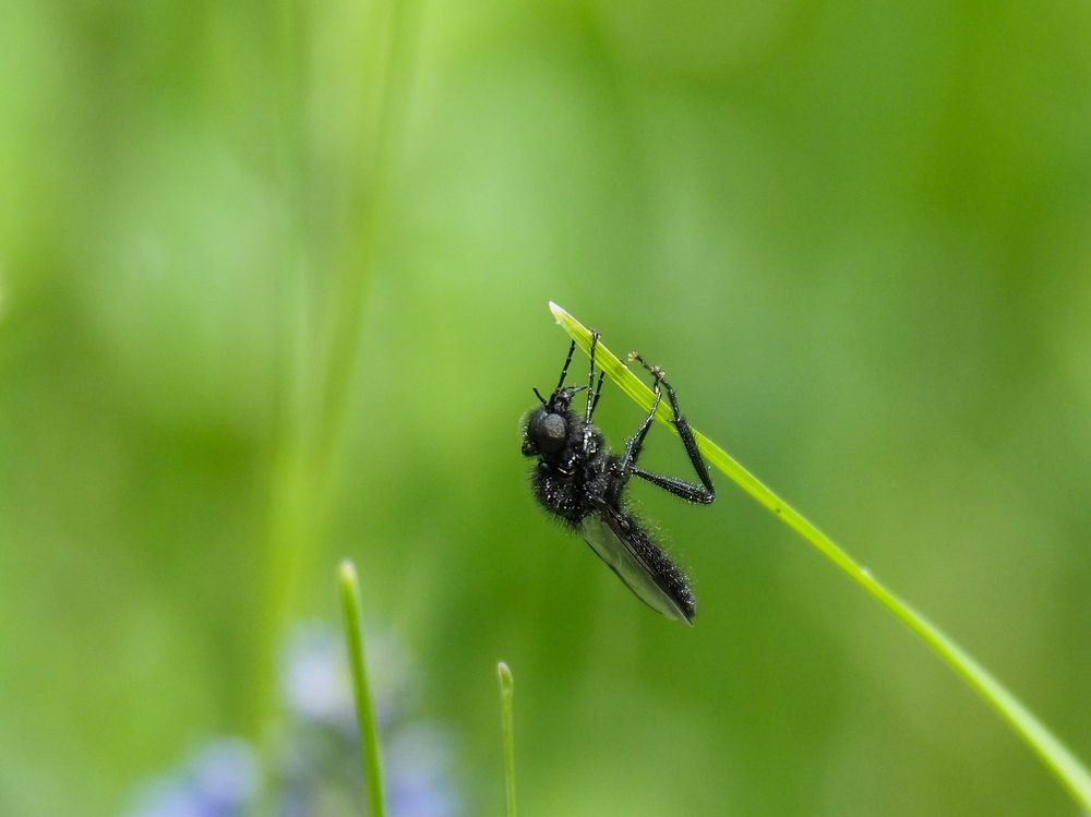 Photograph by Светлана Шибаршина