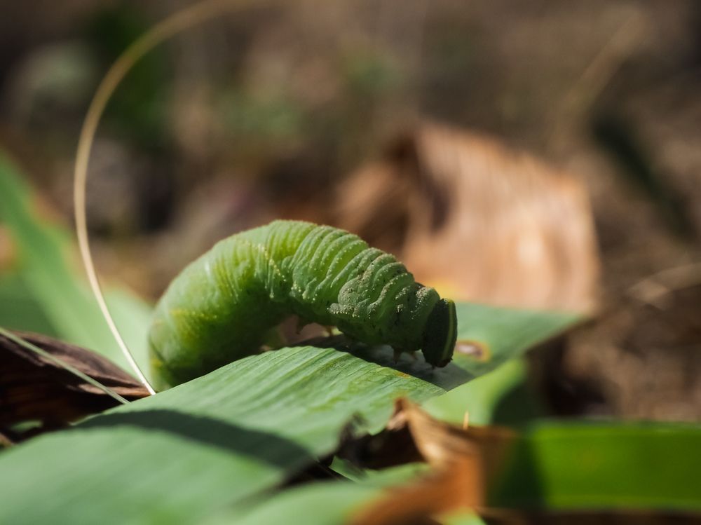 Photograph by Светлана Шибаршина