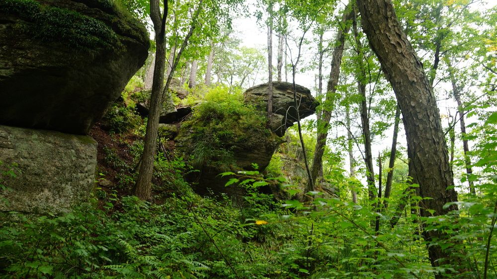 Photograph by Анна Самара