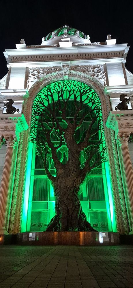 Фотография автора Ольга Мусина