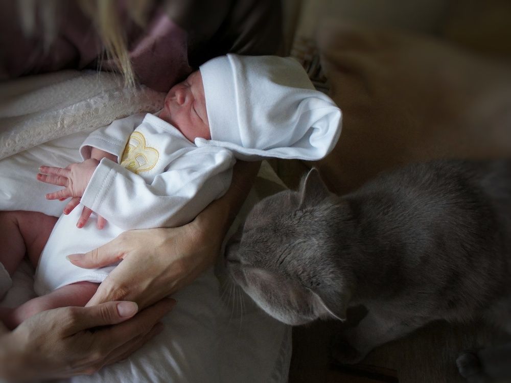 Photograph by Юлия Бурминская