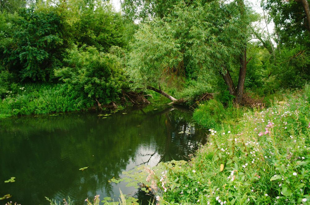 Photograph by Валентина Ивашова