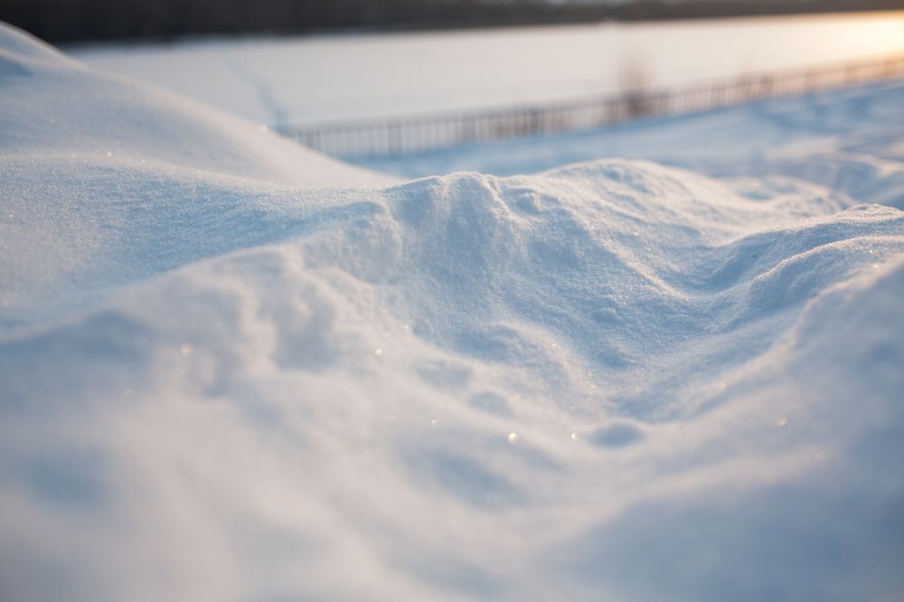 Фотография автора Василиса Новикова