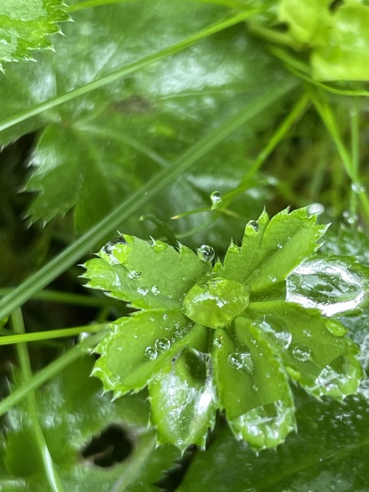 Photograph by Марина Мирошниченко