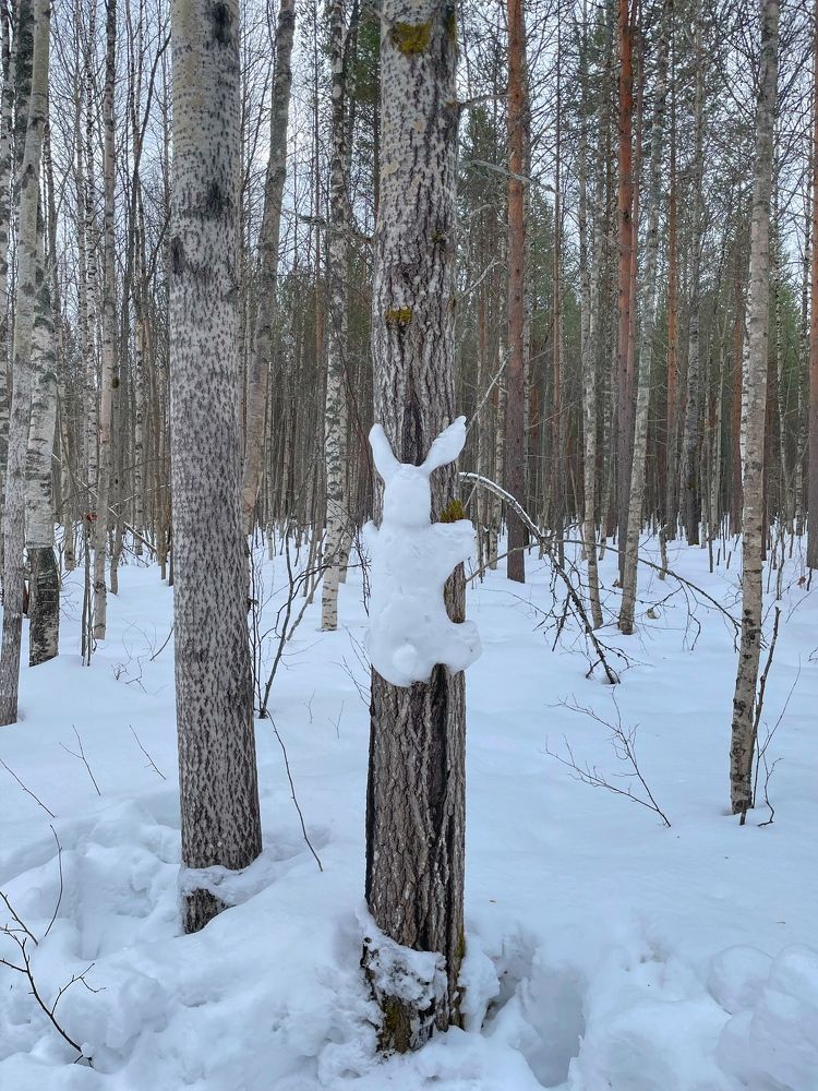 Photograph by Валентина Ивашова