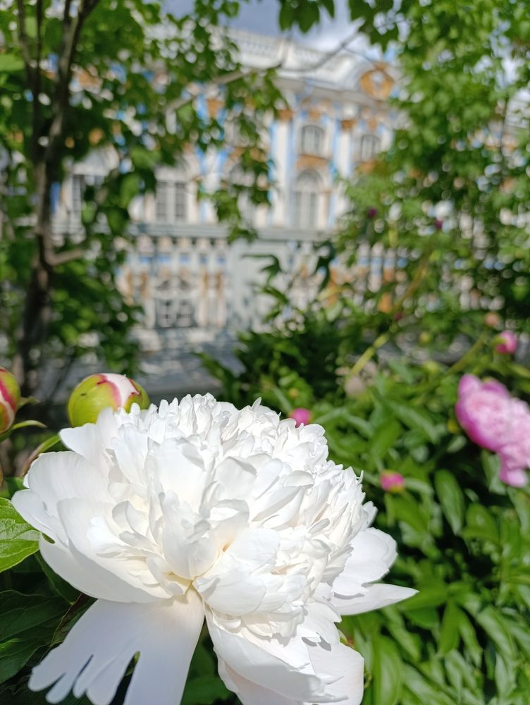 Фотография автора Михаил Бурминский