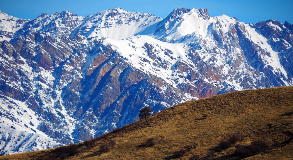 Photograph by PERESHEIN ANDREY